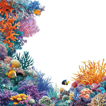 Vibrant Coral Reef Marine Life on transparent background. png