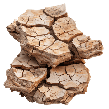 Dry Cracked Earth Soil Texture Background for Nature and Environmental Themes in Photography and Artwork Projects png