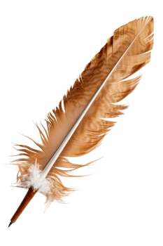 Beautiful Brown Feather Quill Pen with Soft Plumage Ideal for Vintage Writing and Artistic Expressions png