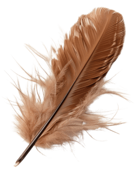 Soft and Delicate Brown Feather Isolated on a White Background, Perfect for Artistic and Nature Related Themes png