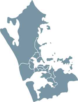 Freehand solid color drawing of Auckland city map. png