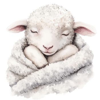 Adorable Watercolor Baby Sheep on transparent Background. png