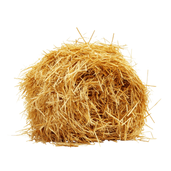 Golden Hay Mound Rustic Autumn Scene on transparent Background. png
