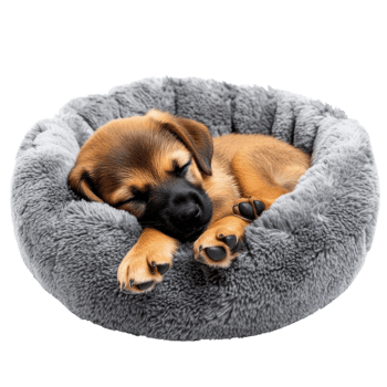 Adorable Puppy Sleeping Soundly on transparent Background. png