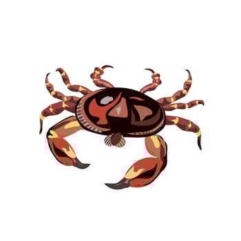 jaiba or crab sea animal illustration in red color use for kids coloring books vector