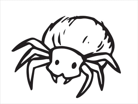 Spider. Sketch style illustration. vector