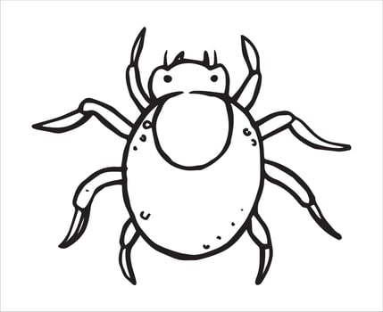 insect tick. illustration in sketch style. parasite vector