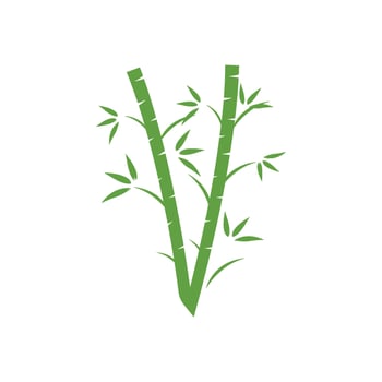 two bamboo stalks. vector
