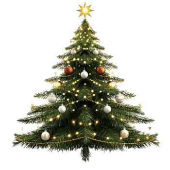 Traditional green Christmas tree golden star shimmering festive decorations png