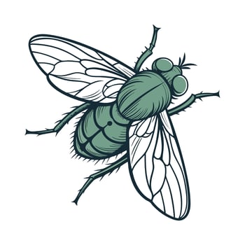 Calliphora Vicina Fly Design on White vector