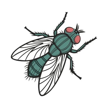 Stylish Calliphora Vicina Fly Illustration vector