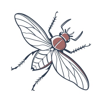 Creative Culicoides Impunctatus Graphic vector
