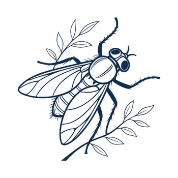 Empis Livida Fly Design 1 vector
