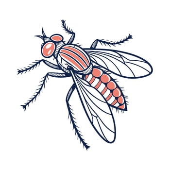 Stylish Empis Tessellata Illustration vector