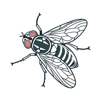 Eristalinus Taeniops Fly Design 1 vector
