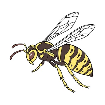 Detailed Hornet Illustration White Background vector