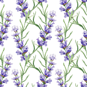 Lavender flowers and leaves seamless pattern. Hand drawn watercolor illustration. For textile, covers, fabric, wrapping paper, wallpaper. png