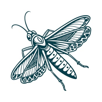 Realistic Katydid Illustration White vector