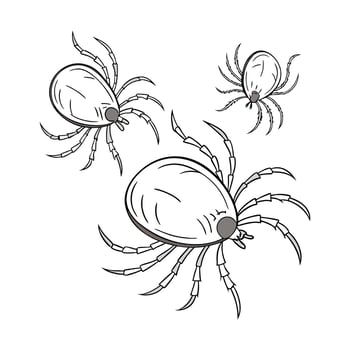Showcase of Mites on Clean White Background vector