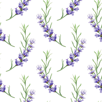 Lavender twigs seamless pattern. Hand drawn watercolor illustration of Provence flowers. For textile, wrapping paper, fabric, covers, napkins. png
