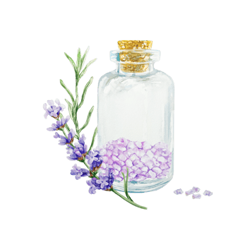 Lavender bath salt and sprig. Hand drawn watercolor illustration of Provence flowers. For cosmetic labels, postcards, SPA certificates, invitations. png