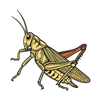 Schistocerca Gregaria Featured on Bright White Surface vector
