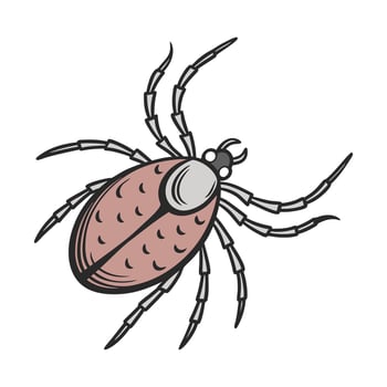 Dramatic Capture of Thermobia Domestica on White vector