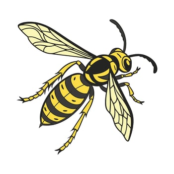 Vespa Crabro Featured on Bright White Surface vector