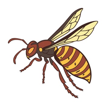 Vespa Mandarinia Featured on Bright White Surface vector