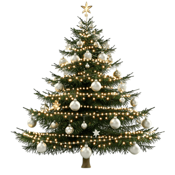 Gr Christmas tree covered in white snow sparkling lights decorations looking festive joyful magical png