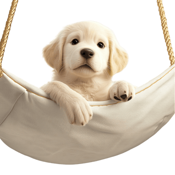 Cute white puppy resting in a hammock looking peaceful sleepy perfect for dog lovers relaxation png
