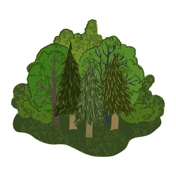 Colorful Illustration of Summer Forest Isolated on White Background vector