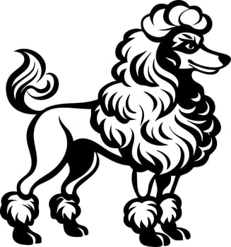 Elegant Poodle Illustration in Black for Fashion Design and Tattoo Inspiration vector
