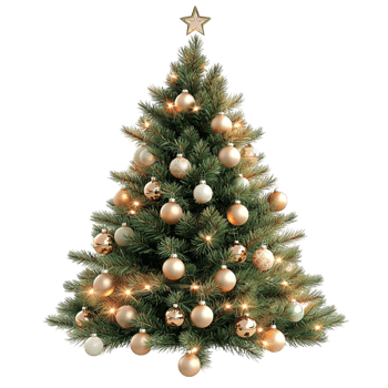 Lush green Christmas tree lights symbolizing winter cheer happiness festive traditions png
