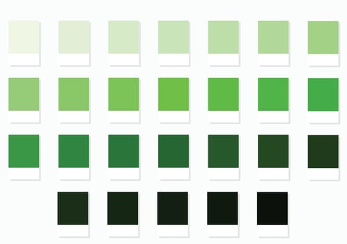 Color Swatches 26 Moss and Fern Shades - 3d Light Faded Greens to Dark Deep Tones, Colour Palette, Scheme and Combinations vector