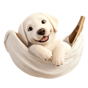 Cute white puppy resting in hammock symbolizing comfort relaxation adorable companionship png