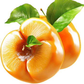 Juicy ripe apricots fresh green leaves shine under the warm golden summer sunlight png