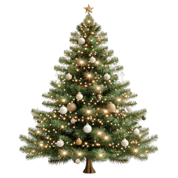 Gr Christmas tree twinkling lights sting beautifully decorated for the festive holiday season png