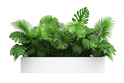 A Lush green plants in modern white planter create vibrant and refreshing atmosphere, perfect for enhancing indoor spaces with touch of nature and tranquility png