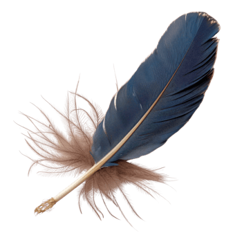 Elegant blue feather with soft brown accents against a white background for creative design use png