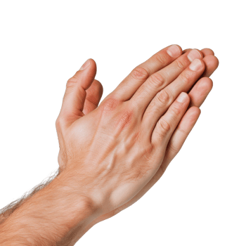 Hands Together in a Gesture of Prayer and Gratitude on a Transparent Background png