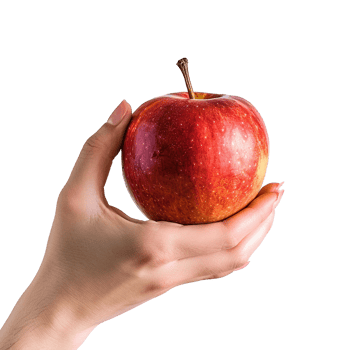 hand gently holding a ripe red apple against a white background png