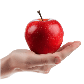 A Single Red Apple Held Gently in a Person's Hand Against a White Background png