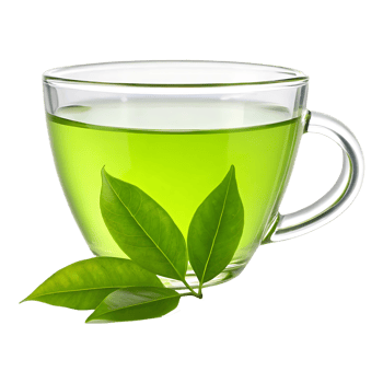 Refreshing cup of green tea with leaves png