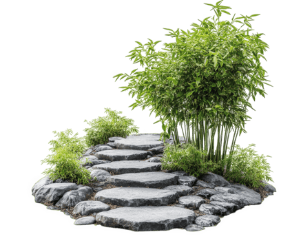 A stone path with a bamboo tree in the middle png