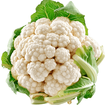 Fresh white cauliflower green leaves beautifully arranged on a clean png