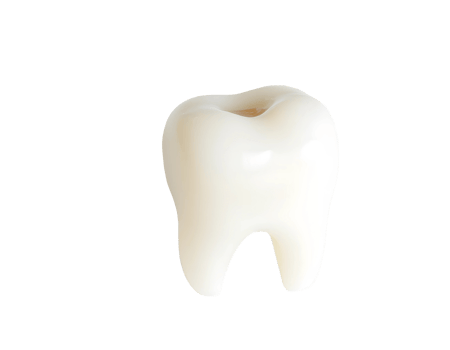 Isolated white molar tooth on a transparent background. png