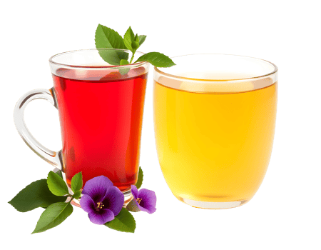 Two glasses of different types of tea with floral and mint decorations png