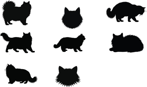 a set of silhouettes of cats vector