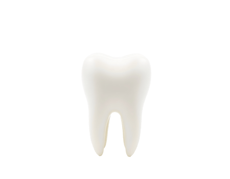 Realistic 3D Render of a White Tooth png